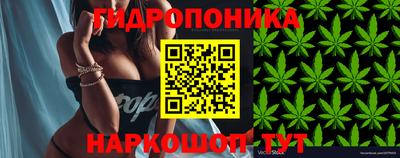 гашиш Берёзовский